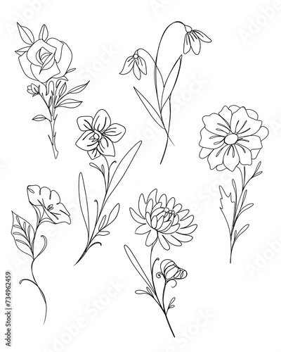 line art drawing of flowers. minimalism sketch, idea for invitation, design o...