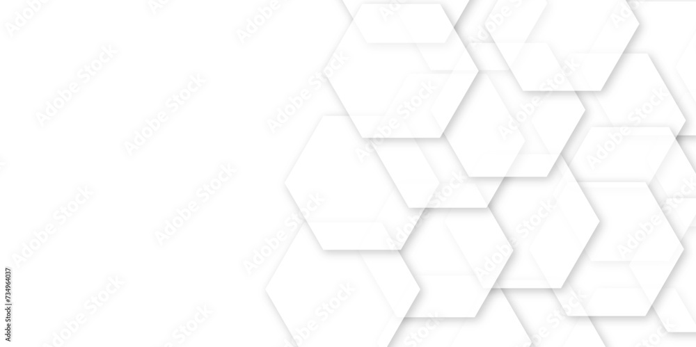Abstract white background with hexagons and seamless pattern in vector design . luxury white pattern geometric mesh cell texture . Abstract white background with hexagons and seamless pattern in vector design . luxury white pattern geometric mesh cell texture .