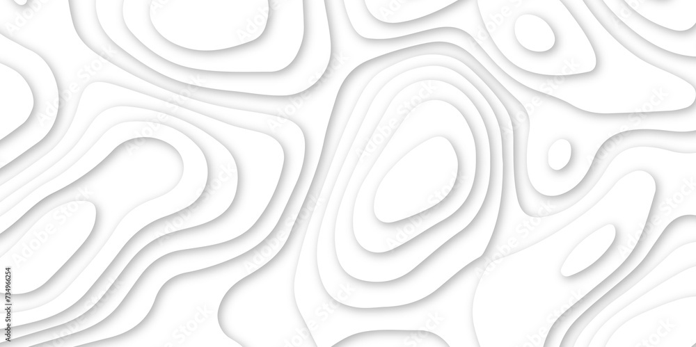 Abstract white wavy line 3d paper cut white background. abstract white background with smooth wavy layers. silver grid map line topography mount contour map .