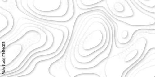 Abstract white wavy line 3d paper cut white background. abstract white background with smooth wavy layers. silver grid map line topography mount contour map .