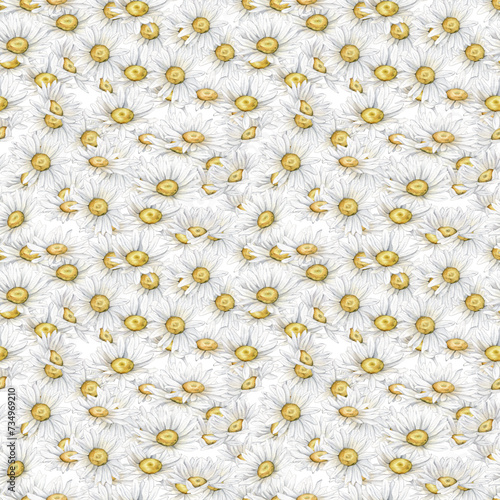 Elegant floral seamless pattern in small white flowers. Liberty style. Floral seamless background for fashion prints. Ditsy print. Seamless watercolor texture. Spring bouquet this chamomile and daisy