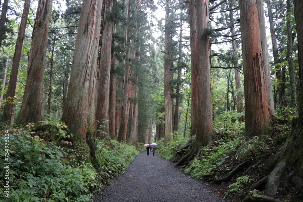 戸隠神社、奥社の狛犬、長野、パワースポット 戸隠神社、奥社の狛犬、長野、パワースポット