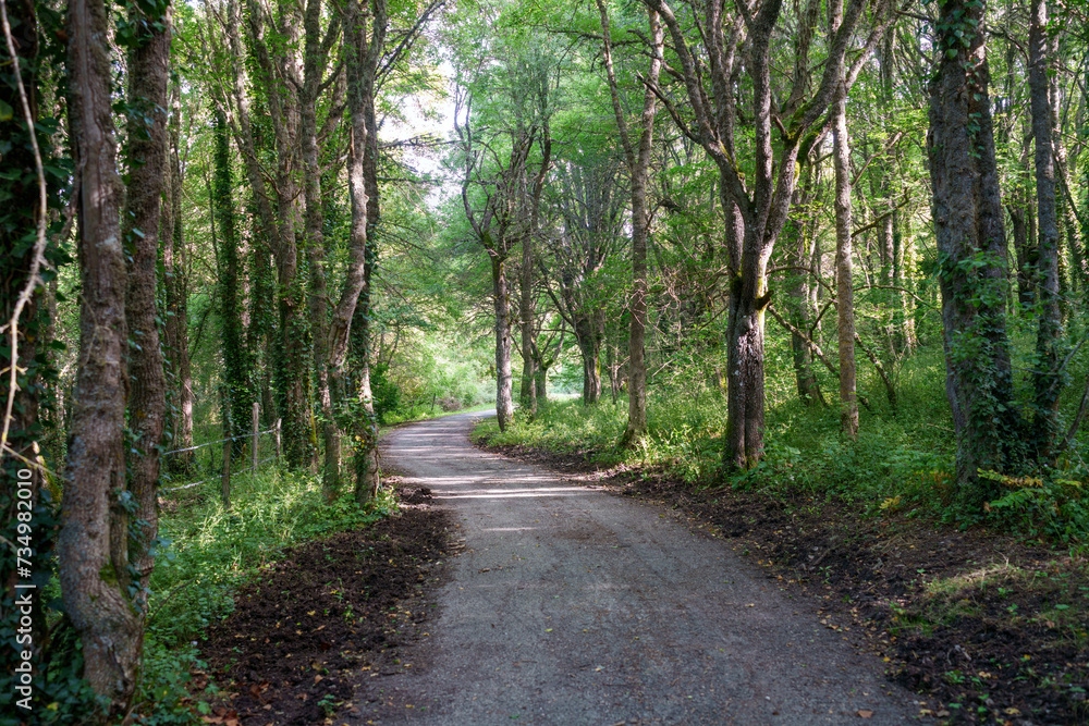 Fototapeta premium Bicycle path of Roccaraso, Abruzzo, Italy