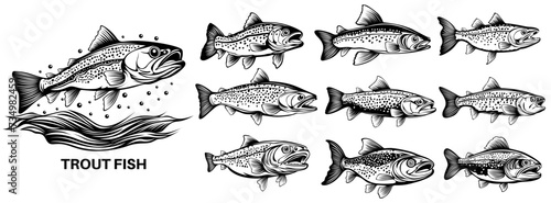 set collections trout fish icon monochrome logo design vector illustrations