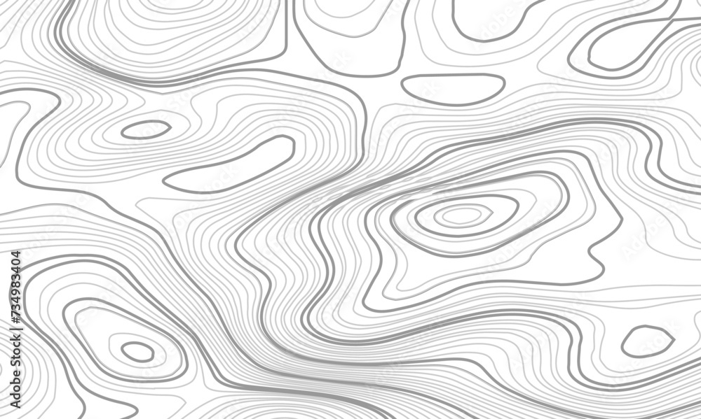 Fototapeta premium Abstract topographic wavy curve line background. Topography map pattern, Geographic curved relief. Topographic lines background. Vector illustration.