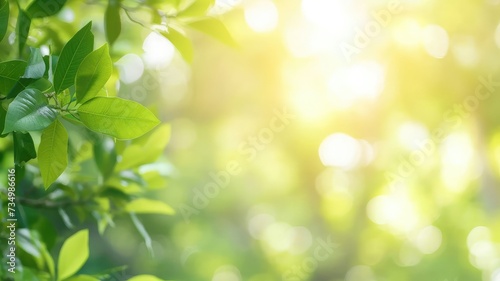 Beautiful nature view of green leaf on blurred greenery background in garden and sunlight with copy space