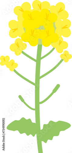 シンプルな菜の花のイラスト（フラットデザイン）