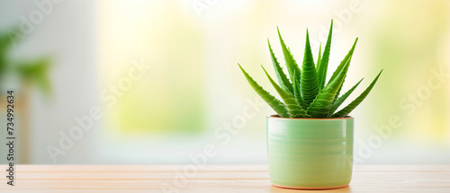 A small potted plant is sitting on a wooden table
