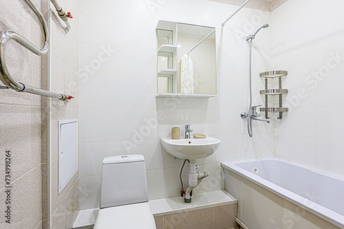 interior apartment room bathroom  sink  decorative elements  toilet. WC  sanitary unit  wash room
