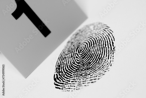 Marked Fingerprint As Evidence
