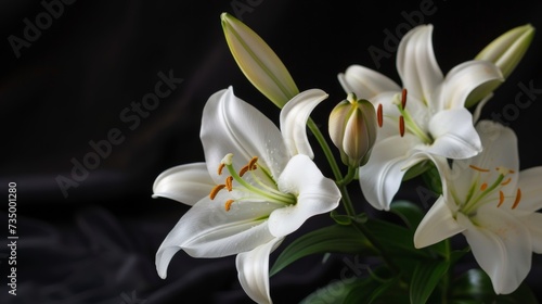 Exquisite White Lilies on Black Velvet Background AI Generated.