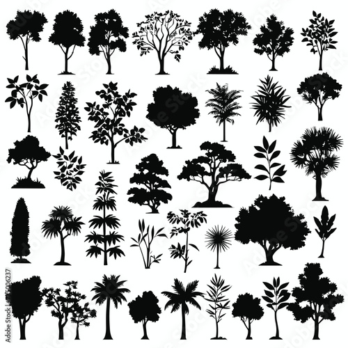 Tree silhouette set vector collection
