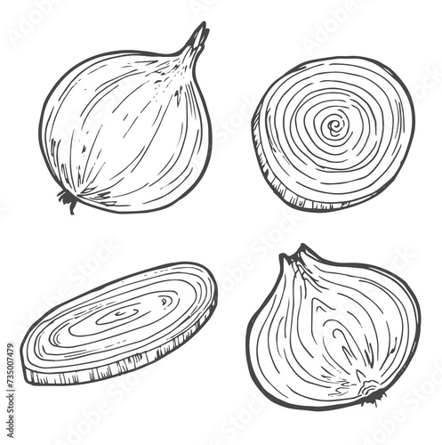 Hand Drawn Onion, half an onion, and onion rings. Black and white. Vector illustration isolated on a white background.