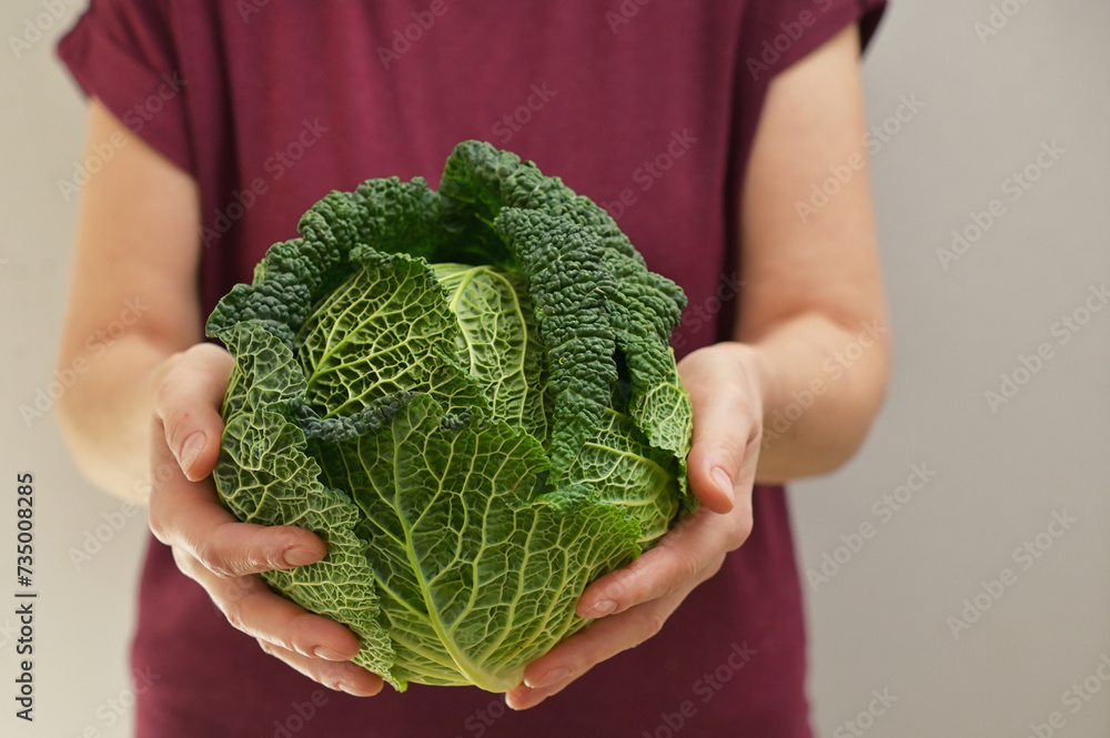 Woman holding green organic savoy cabbage