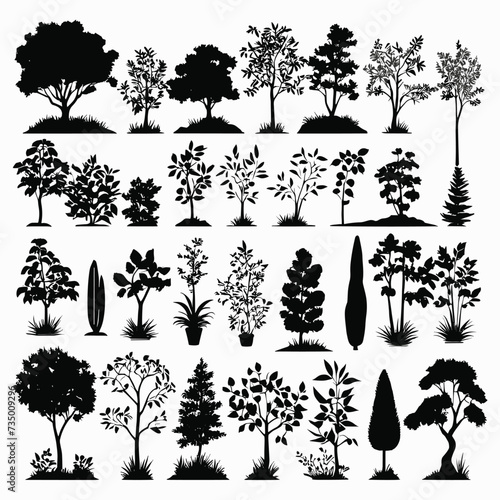Tree silhouette set vector collection
