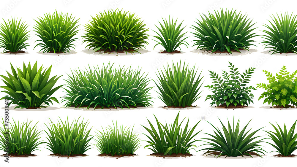 vector collection of green grass or shrub. green grass background vector vector collection of green grass or shrub. green grass background vector