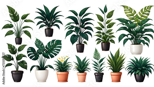 plants in pots. vector collection of plants on white background. Collection trendy plants and nature homemade flowers in pot interior decoration in flat style. Vector illustration on white background
