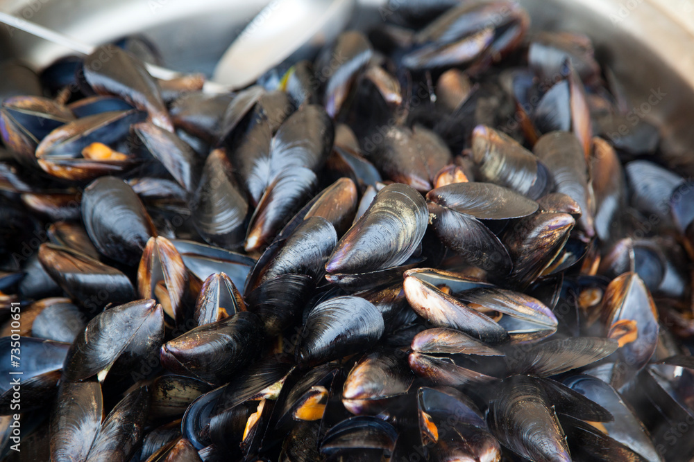 mussels in the pot mussels in the pot
