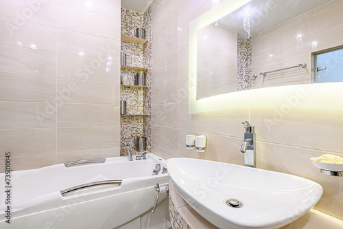 interior apartment room bathroom  sink  decorative elements  toilet. WC  sanitary unit  wash room