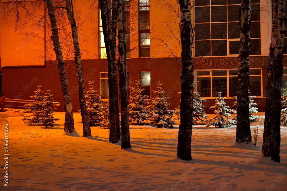 Obraz premium Novokuznetsk, Russia. The South of Western Siberia. January 19th, 2024. Warm illumination in the city's snow-covered park on a frosty January morning.