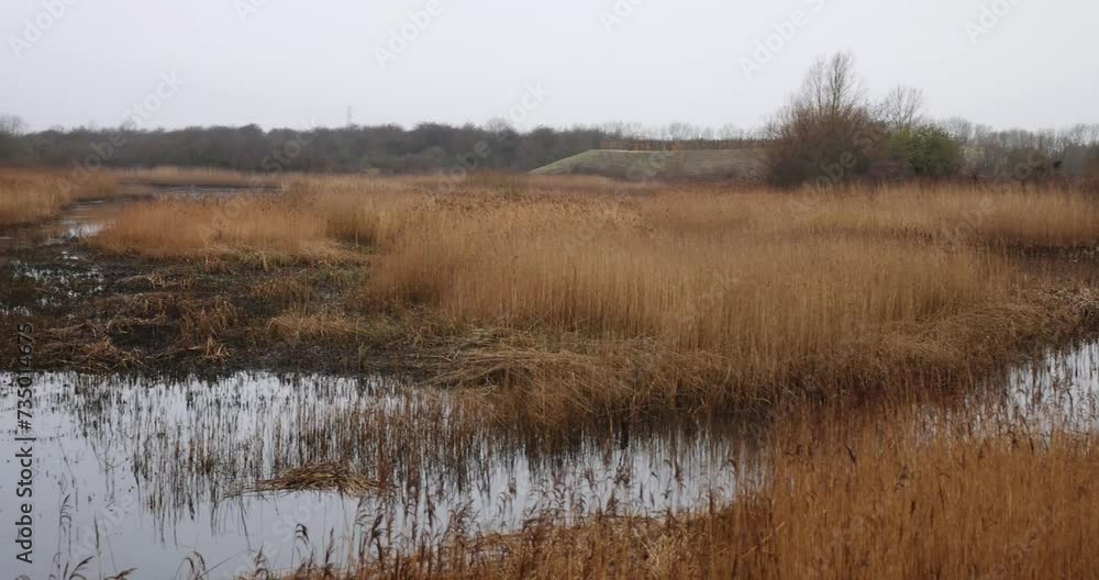 Tophill Low Nature reserve in East Yorkshire, Tophill Low Nature reserve is an active Yorkshire Water treatment works. 4K Video. Tophill Low Nature reserve in East Yorkshire, Tophill Low Nature reserve is an active Yorkshire Water treatment works. 4K Video.