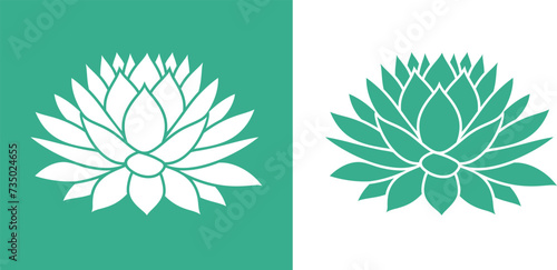 Agave logo. Isolated agave on white background photo
