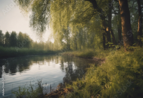 Illustration of the forest. Trees, shrubs and thickets in the form of silhouettes. River, stream in the forest