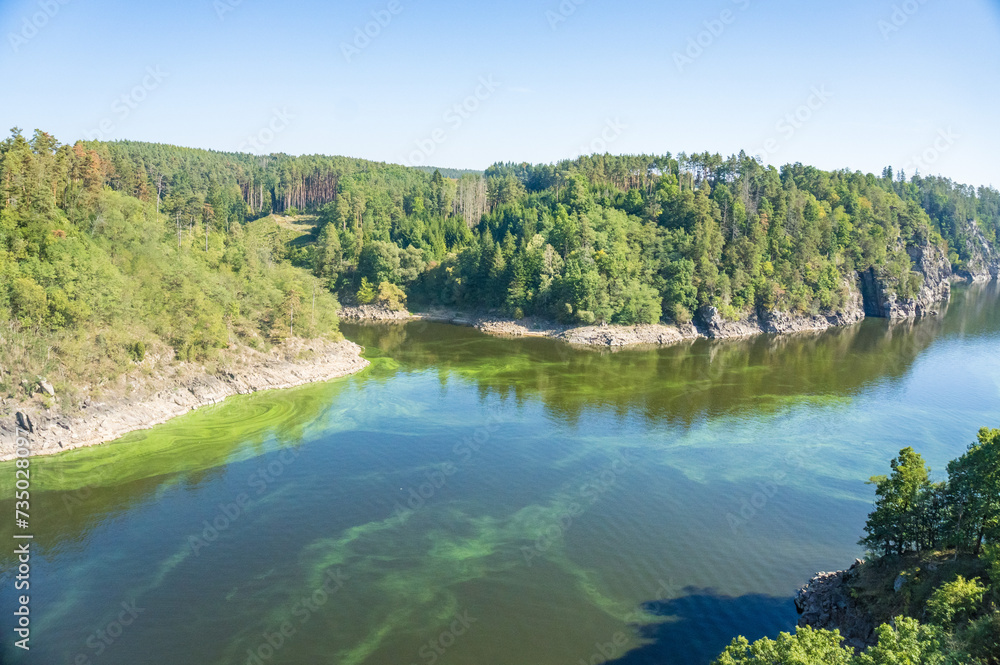 Beautiful landscape of the Vltava River and the forest near Zvikov Castle, Czech