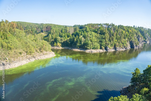 Beautiful landscape of the Vltava River and the forest near Zvikov Castle  Czech