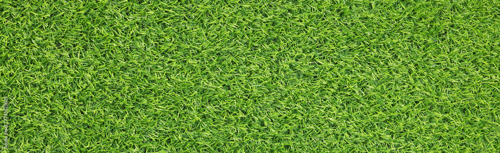 Fresh green grass as background outdoors, top view. Banner design Fresh green grass as background outdoors, top view. Banner design
