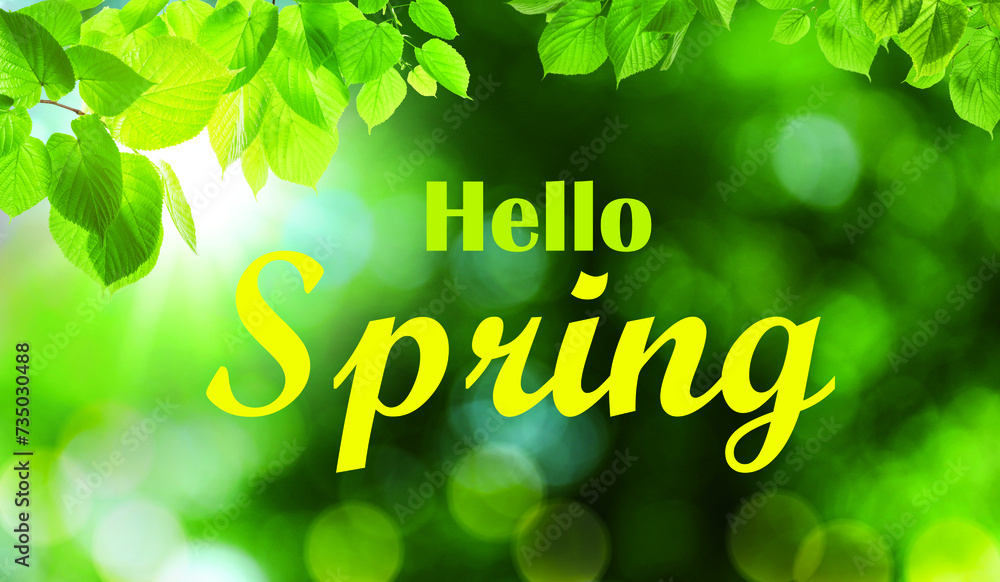 Fototapeta premium Hello Spring card. Beautiful leaves on green background, bokeh effect. Banner design