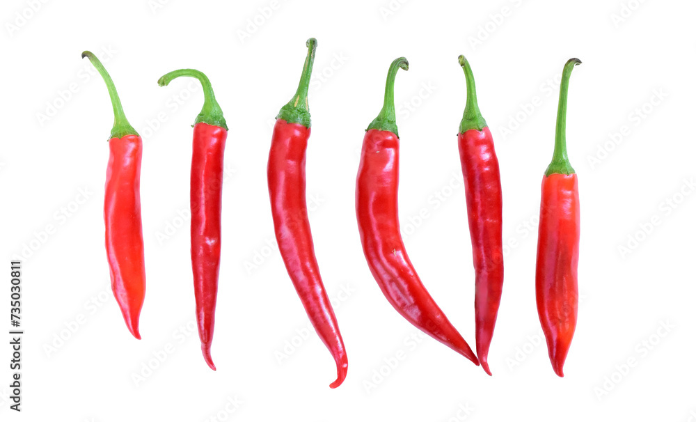 Chilli red peppers in line isolated on white background. Long red hot peppers, aligned. Cayenne peppers