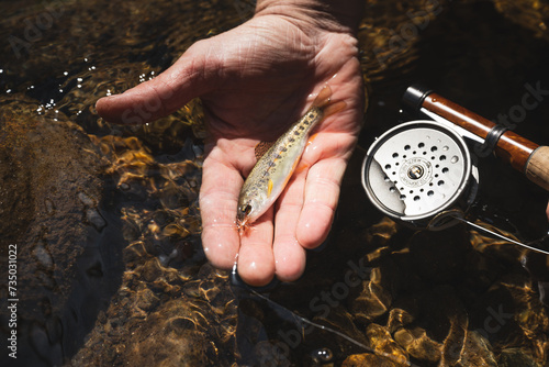 A man's hand holding a tiny brook trout over a stream with a shiny vintage fishing reel nearby photo