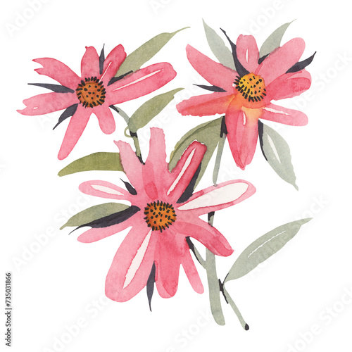 Watercolor  flowers isolated on a white background. Hand-drawn illustration. 