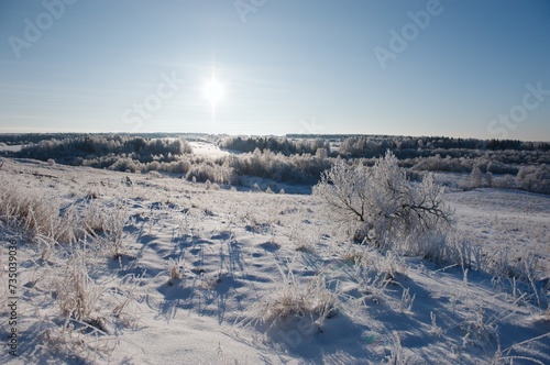 frost on the trees frost village snow winter sunlight