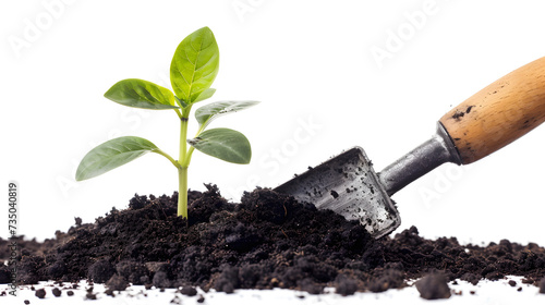Young plant sprouting in rich soil next to a gardening trowel photo