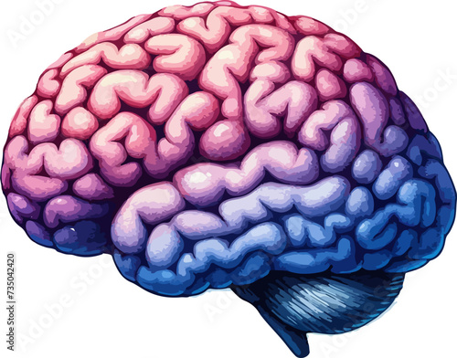 3d rendered illustration of human brain