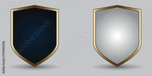 A set of two colored shields in a gold frame. 3D. Black and white. Vector 