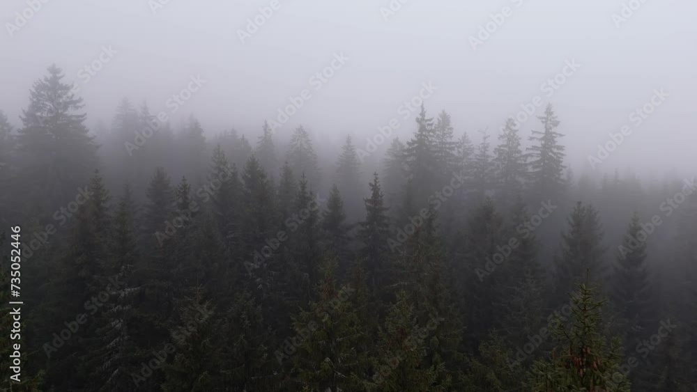 Hauntingly beautiful drone shot of fog-engulfed trees with snow, on a mountain, showcasing the bleakness of winter. Hauntingly beautiful drone shot of fog-engulfed trees with snow, on a mountain, showcasing the bleakness of winter.