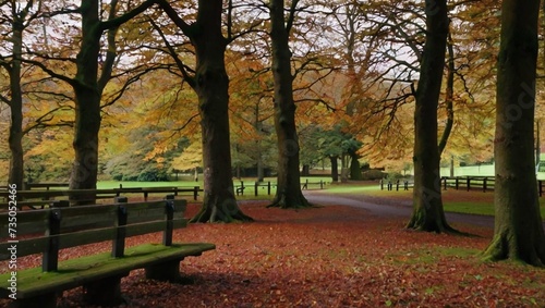 autumn in the park