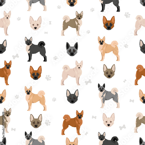 Norwegian Buhund seamless pattern. Different poses, coat colors set