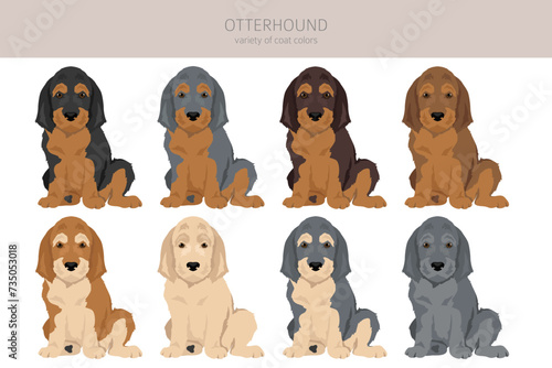 Otterhound puppies clipart. Different poses, coat colors set