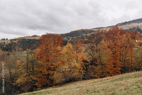 Landscape of hills in cloudy autumn colors. The Carpathian mountains, Ukraine.
