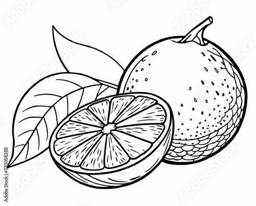 fruit berry crop healthy food vector illustration grain product harvest 