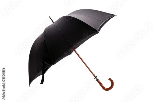 Canopy Companion Umbrella on Transparent Background, PNG