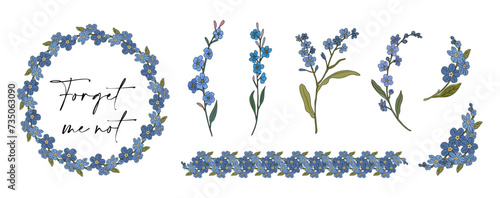 Set of forget me not flowers. Myosotis Trendy botanical elements for wedding cards, invitations. Hand drawn colored branches, wreath, border, frame. Vector illustrations on transparent background. photo