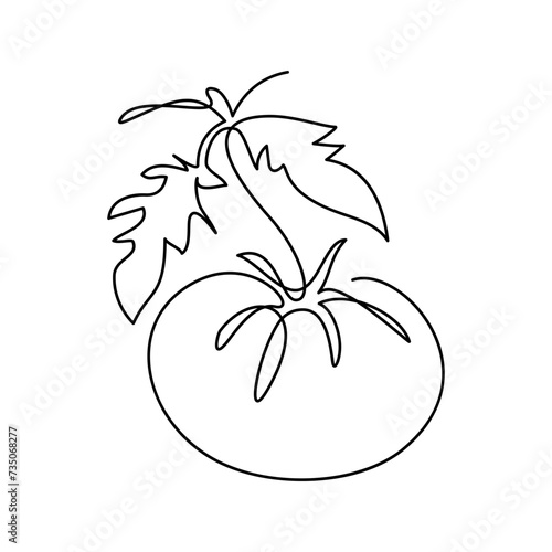 Tomato in continuous line art drawing style. Tomato fruit with leaves black linear sketch isolated on white background. Vector illustration