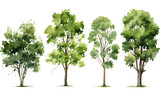 Tree set with green leaves isolated on white, tree collection, watercolor illustration generative ai 