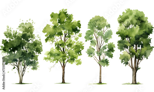 Tree set with green leaves isolated on white, tree collection, watercolor illustration generative ai 