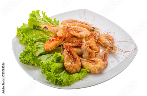 Big tiger shrimps